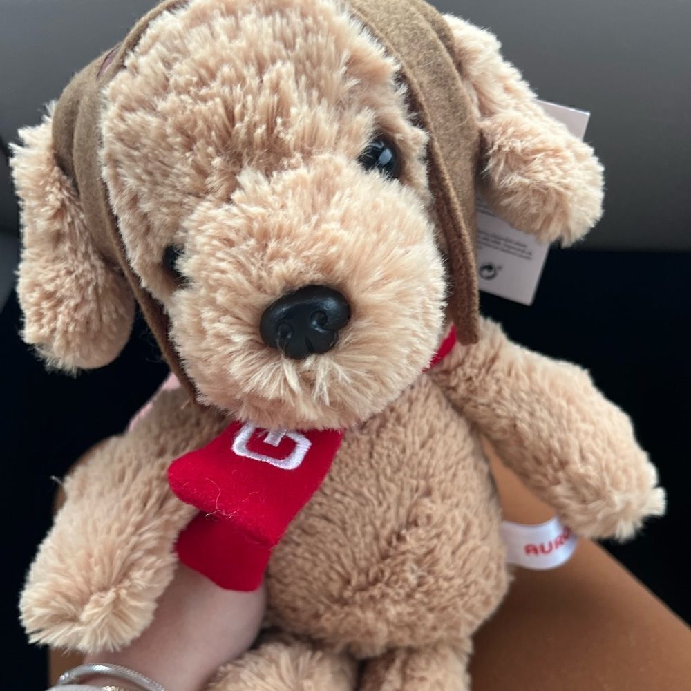 Cute golden retriever plush toy with aviator “top gun” costume - brand new